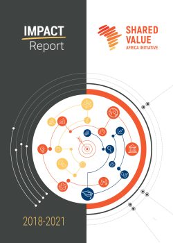 SVAI Impact Report 2018-2021